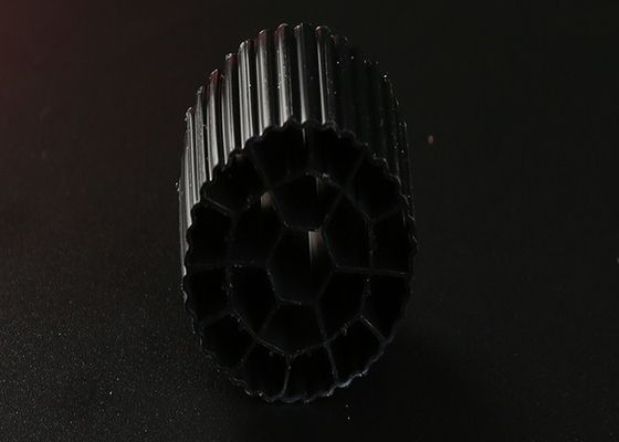 الاسم
