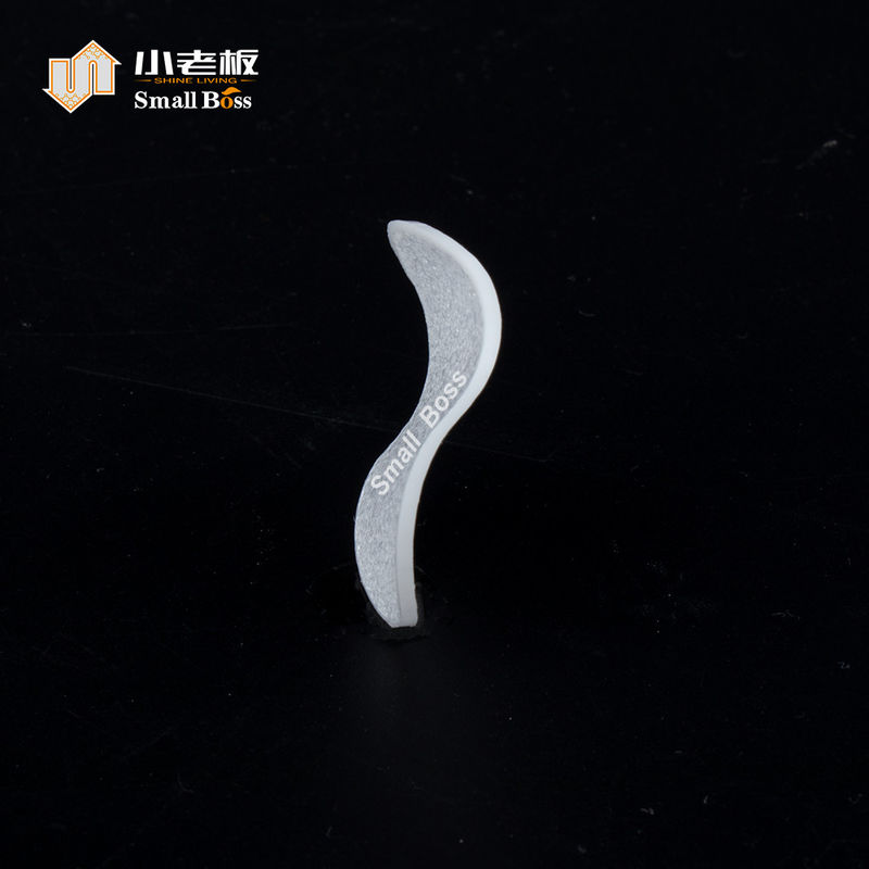 الشريحة الحيوية الصغيرة الرئيسة الخيار الأفضل لمفاعل الفيلم الحيوي في تربية الأحياء المائية