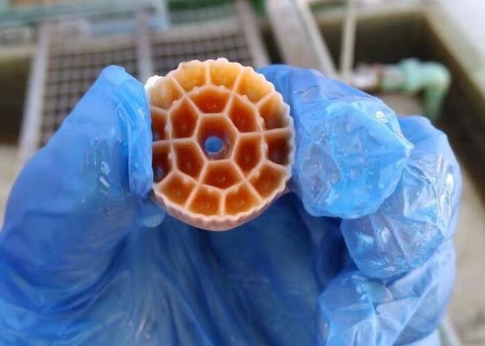 الوسائط البيولوجية الشائعة ذات اللون الأسود العذراء HDPE المواد MBBR لمعالجة مياه الصرف الصناعي