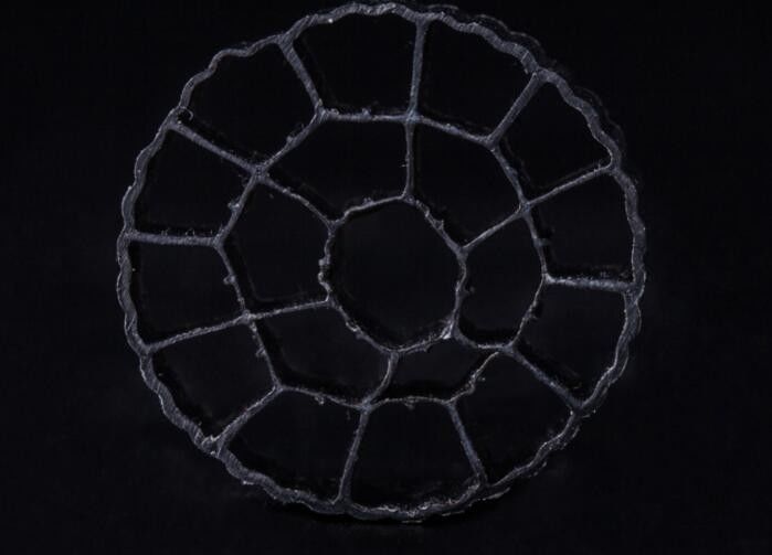 مادة HDPE PE06 الوسائط البيولوجية ، وسائط المرشح MBBR 25mm X 12mm ملونة