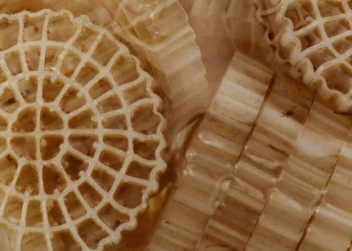 كرات البولي إيثيلين BIO الوسائط المرشحة FDA آمنة غير سامة K1 Micro MBBR Media